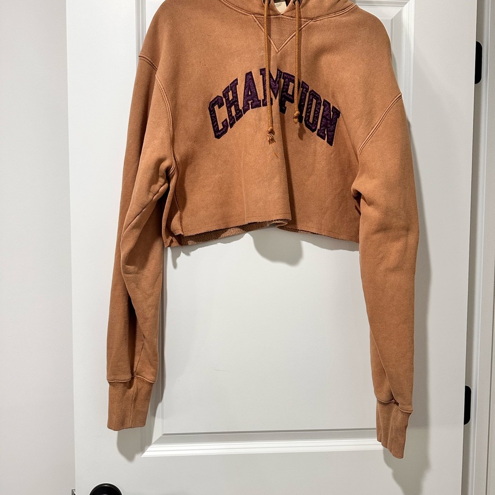 Champion Women's Brown Cropped Hoodie